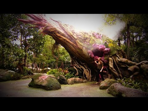 Inside Pandora: The World of Avatar at Disney World - UCH1oRy1dINbMVp3UFWrKP0w