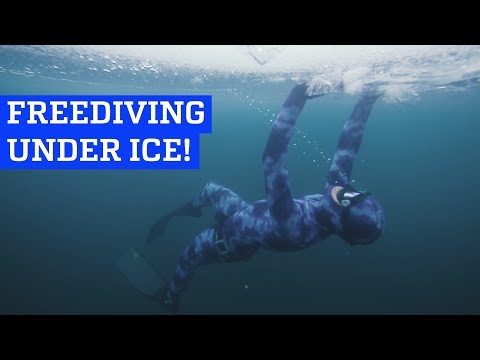 Freediving Under Ice! - UCIJ0lLcABPdYGp7pRMGccAQ