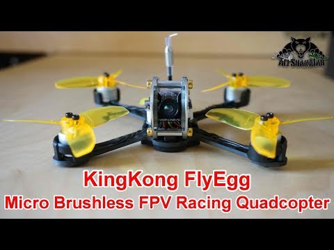 KingKong Fly Egg 130 Micro Brushless FPV Racing Quadcopter - UCsFctXdFnbeoKpLefdEloEQ