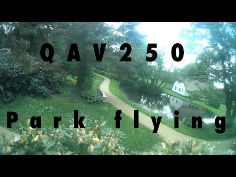 QAV250 - Park Flying - UCnMVXP7Tlbs5i97QvBQcVvw