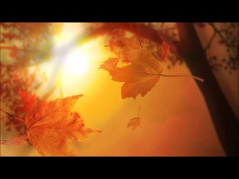 SizzleBird - Autumn Mist - UCuOBK_yo-DkTCuDCByfYelg