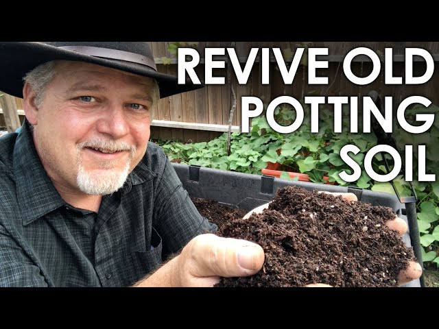 what-to-do-with-old-potting-soil-to-get-ideas