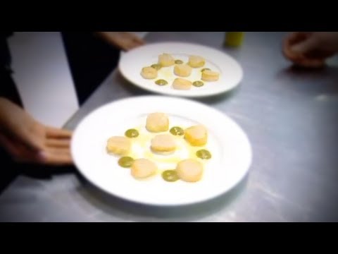 Perfect Scallops with Cauliflower Puree - Gordon Ramsay - UCiZ9jB1O8Aof6P2F9aRNJLg