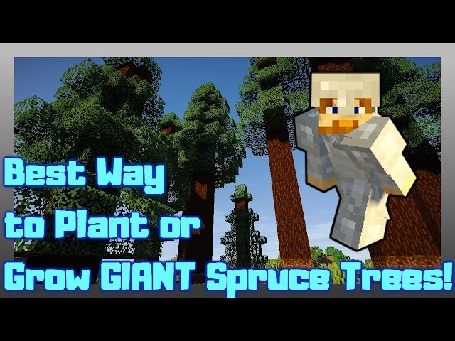 Uncovering the Mystery of Why the Minecraft Spruce Tree Won’t Grow