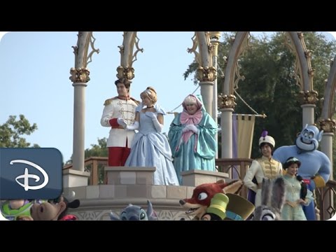 Walt Disney World Resort Marks 45 Years With Character - UC1xwwLwm6WSMbUn_Tp597hQ