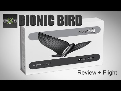 Bionic Bird Furtive Drone - Review & Flight Test - UCwojJxGQ0SNeVV09mKlnonA