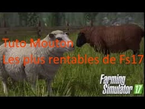 Tutoriel Les moutons les plus rentables des animaux sur Farming Simulator 2017