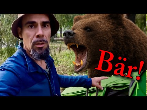 FIRST BEAR CONTACT in Estonia 🐻 | Camping Adventure Estonia - Part 1