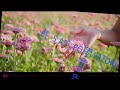 VFX 2