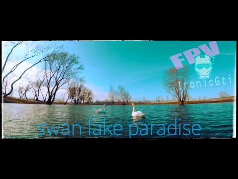 Swan lake paradise // fpv chill flight - UCi9yDR4NcLM-X-A9mEqG8Hw