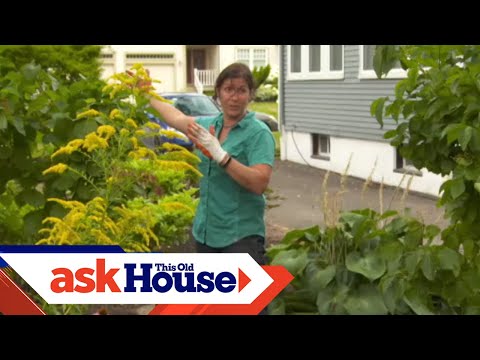 How to Revitalize a Landscape for Free | Ask This Old House - UCUtWNBWbFL9We-cdXkiAuJA