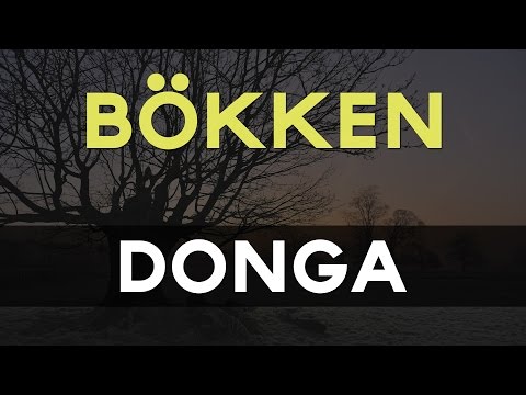 Bökken - Donga - UC9Xnzk7NEdUzU6kJ9hncXHA