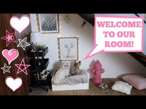 Building my dogs a room under the stairs | Teddy & Mochi's Official Room Tour! - UC48DOiEvCDu3sThBijwkQ1A