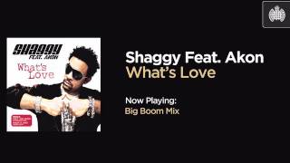 Shaggy Feat. Akon - What's Love (Big Boom Mix)
