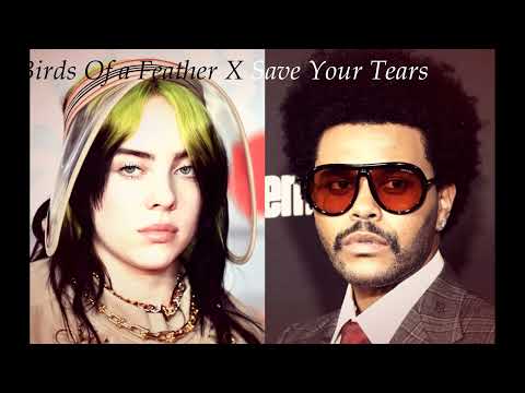 Birds Of a Feather X Save Your Tears Remix (Billie Eilish x The Weeknd mashup) TikTok Full Version