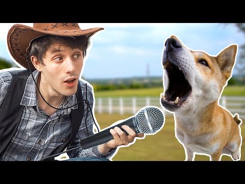Remaking OLD TOWN ROAD With 100 Dogs. - UCplkk3J5wrEl0TNrthHjq4Q