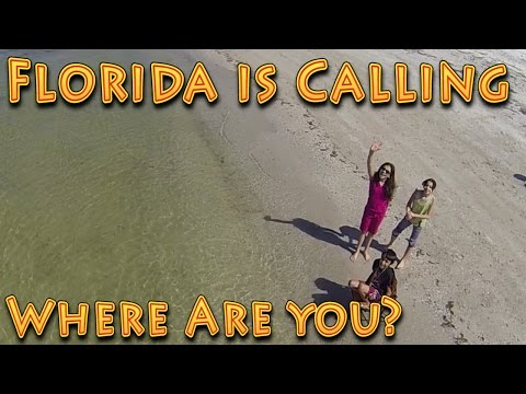 A Day In the Florida Sun - Cheerson CX-20 With Gimbal GOPRO - UC18kdQSMwpr81ZYR-QRNiDg