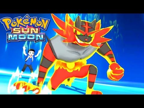 Pokémon Sun and Moon - All 29 Z-Moves! - UC-2wnBgTMRwgwkAkHq4V2rg