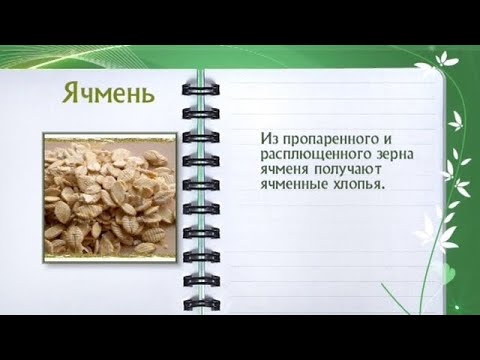 Кулинарная энциклопедия - Ячмень - UC7XBjhXnmmXFsxmnys9PmDQ