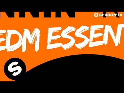 Spinnin' Records EDM Essentials November - UCpDJl2EmP7Oh90Vylx0dZtA