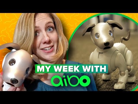 Sony Aibo: what it's like to live with a robot dog - UCOmcA3f_RrH6b9NmcNa4tdg