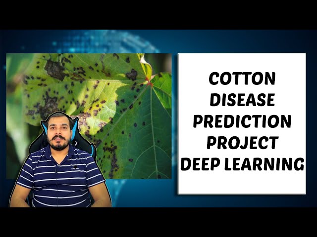 Can Deep Learning Help Us Control Plant Diseases?