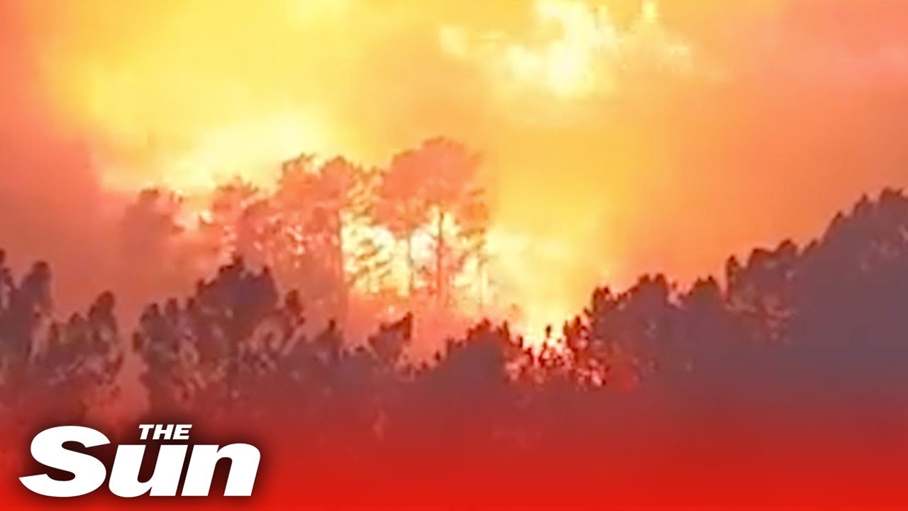 Huge forest fire breaks out through parts of Spain’s Sierra de Gredos