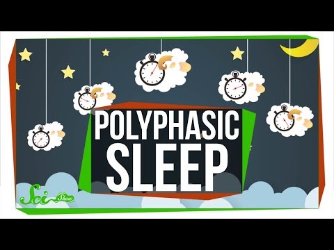 What Do Scientists Really Know About Polyphasic Sleep? - UCZYTClx2T1of7BRZ86-8fow