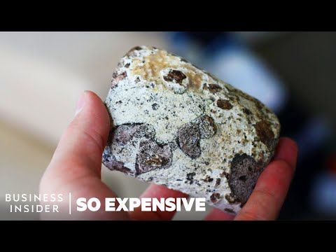 Why Whale Poop Is So Expensive | So Expensive - UCcyq283he07B7_KUX07mmtA