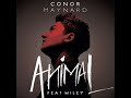 MV Don't You Worry Child (cover) - Conor Maynard