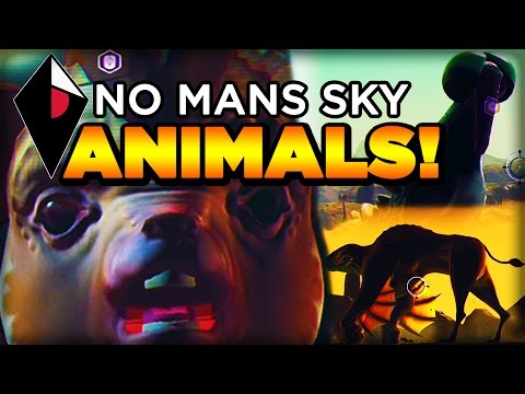 Coolest, Craziest, Stupidest Animals in No Man's Sky - UCbu2SsF-Or3Rsn3NxqODImw