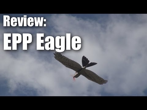 Review: EPP Eagle from HobbyKing - UCahqHsTaADV8MMmj2D5i1Vw