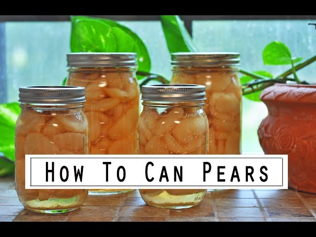 How to Make Pear Preserve in 7 Easy Steps