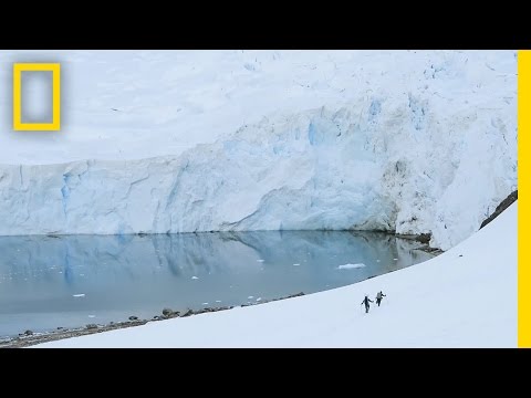 See the Extreme Ice Changes Near the Antarctic Peninsula | Short Film Showcase - UCpVm7bg6pXKo1Pr6k5kxG9A