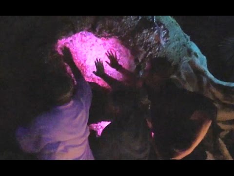 PREVIEW: Bioluminescent night in Pandora - The World of Avatar at Walt Disney World - UCYdNtGaJkrtn04tmsmRrWlw