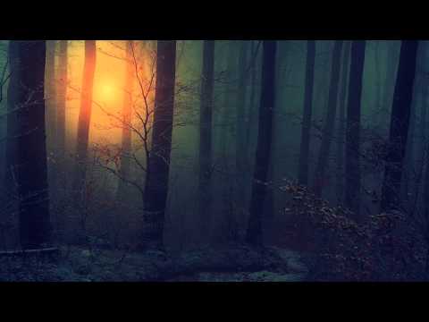 [Dubstep] Madza - Silence In The Woods (Free Download) - UCd24KR51l3JzGZh7GoW0OEg