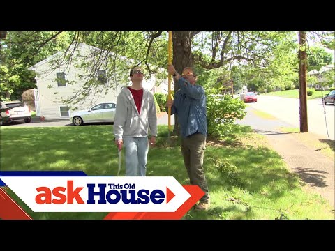 Pruning a Crabapple Tree | Ask This Old House - UCUtWNBWbFL9We-cdXkiAuJA