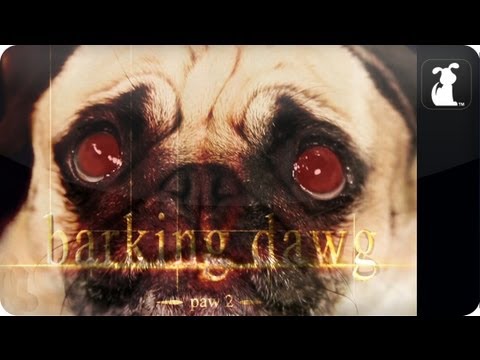 The Twilight Saga: Breaking Dawn Part 2 / Barking Dawg Paw 2 Petody - UCPIvT-zcQl2H0vabdXJGcpg