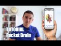 Image of the cover of the video;Un cerebro en el bolsillo - Pocket Brain, la App para aprender Neuroanatomía desde tu SmartPhone