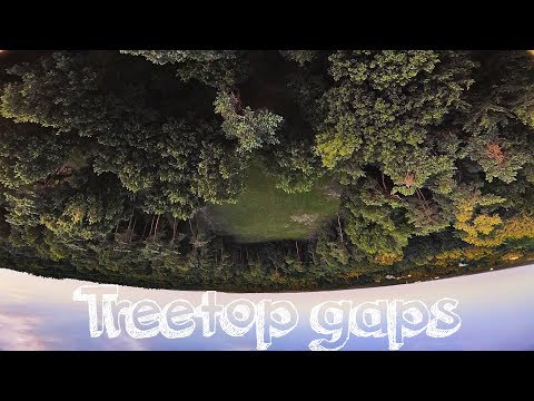 Diving Treetop Gaps | FPV FREESTYLE - UCaWxQ4V1rsDcG6uCxKv1NIA