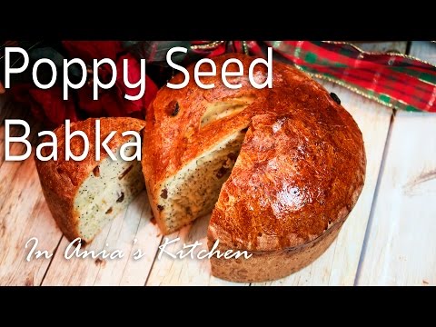 Poppy Seed Babka - Babka Piegowata - Recipe #229