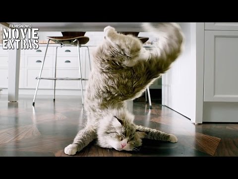 Nine Lives Clip Compilation (2016) - UCmQynT5NWU3Vsa9t0OGUhcA