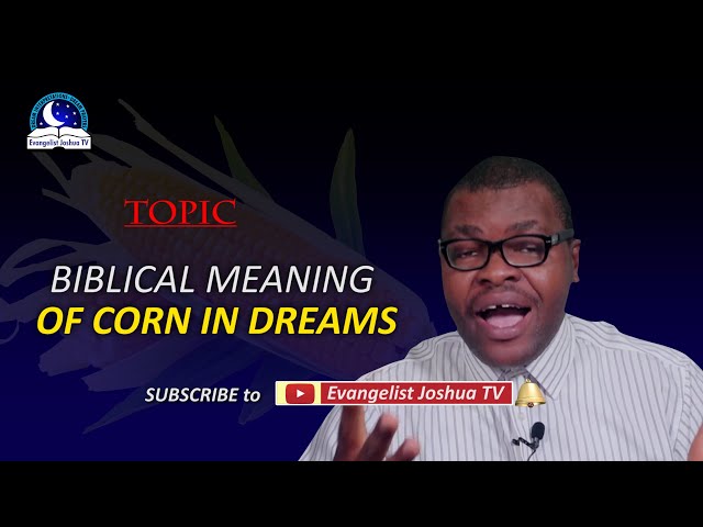 what-does-it-mean-biblically-to-dream-about-corn-stuffsure