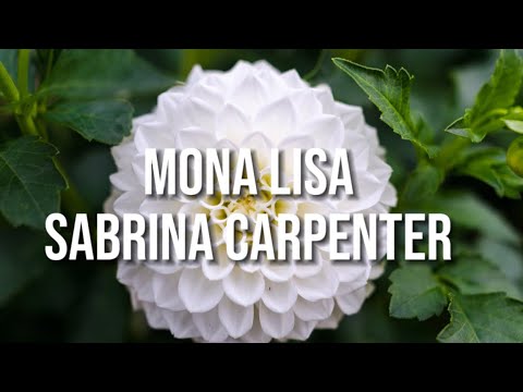 MONA LISA - Sabrina Carpenter (Lyrics)