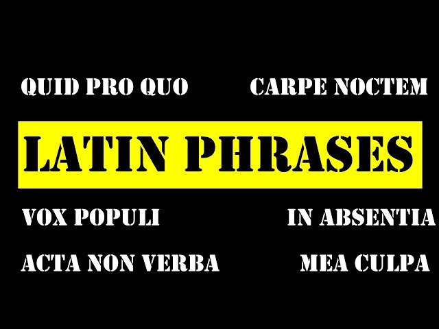 Latin Music Phrases Everyone Should Know
