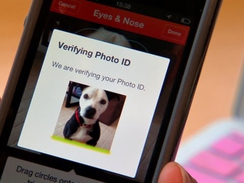 CNET News - Finding your lost dog is now a snap(shot) - UCOmcA3f_RrH6b9NmcNa4tdg