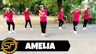 AMELIA ( Dj KRZ Remix ) - Besa Kokedhima | Budots Remix | Dance Trends | Dance Fitness | Zumba