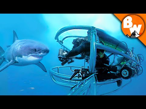 Shark Cage Submarine for Great Whites! - UC6E2mP01ZLH_kbAyeazCNdg