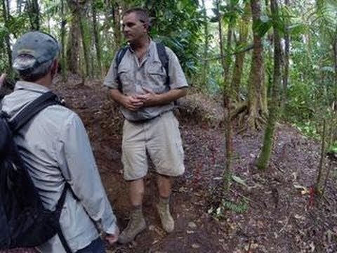 CNET News - A walk among hidden graves and WWII bombs - UCOmcA3f_RrH6b9NmcNa4tdg