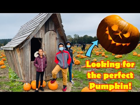 PUMPKIN CARVING IN THE HOTEL ROOM 🥴 | Perfect pumpkin from the Pumpkin Patch | Halloween Vibes